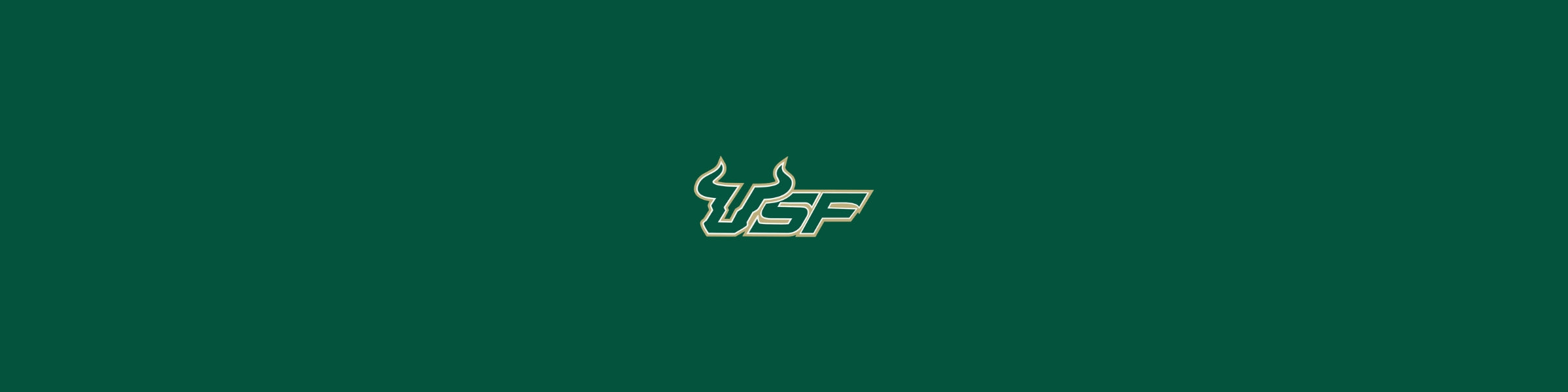 University of South Florida