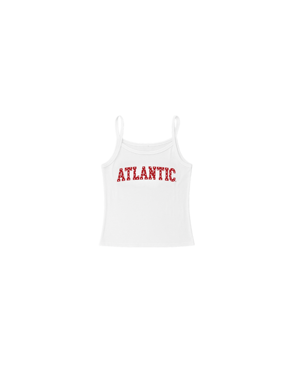 Florida Atlantic Polka Tank