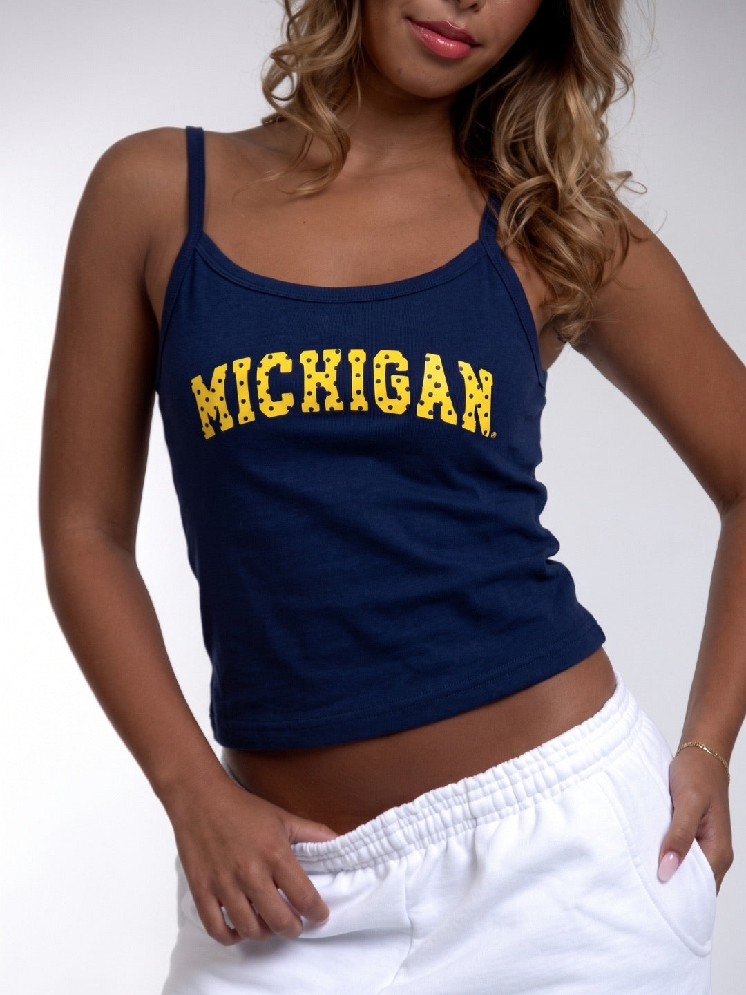 Michigan Tank