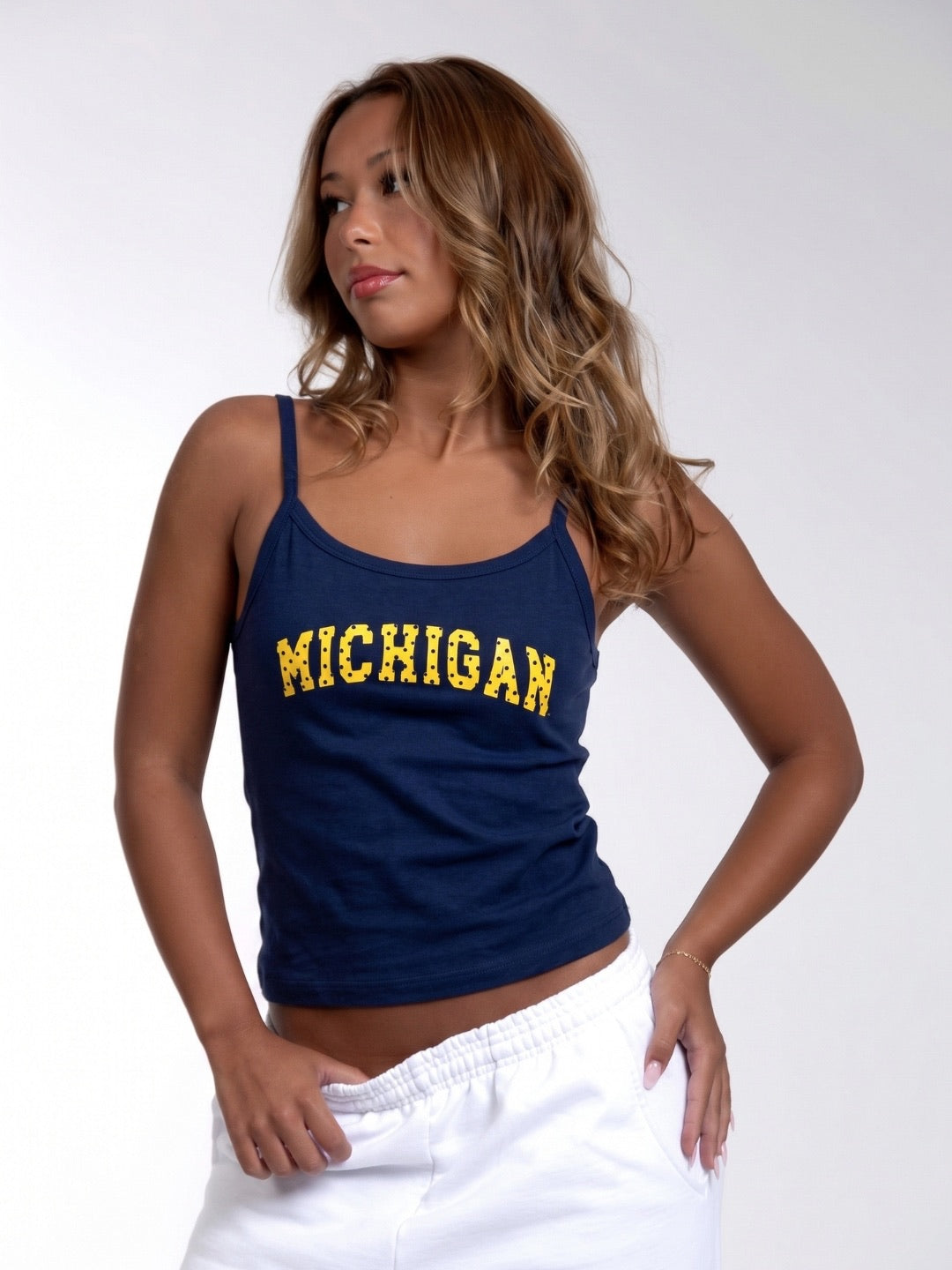 Michigan Tank